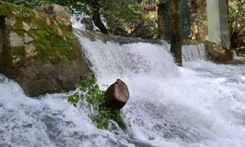 WhatsApp Image 2026-04-07 at 08.16.36